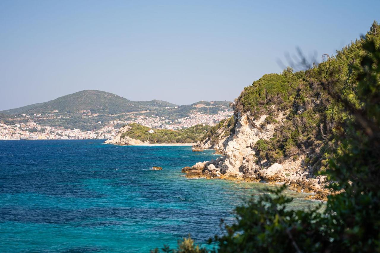 Blue Garden Samos Apartments Floka  Kültér fotó